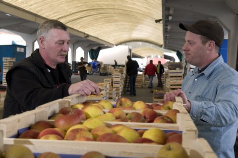 Producteurs de pommes MIN de ROUEN